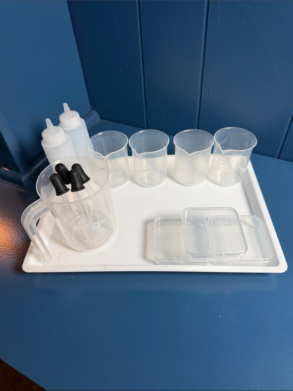 Clear Plastic Science Tray Set with White Tray